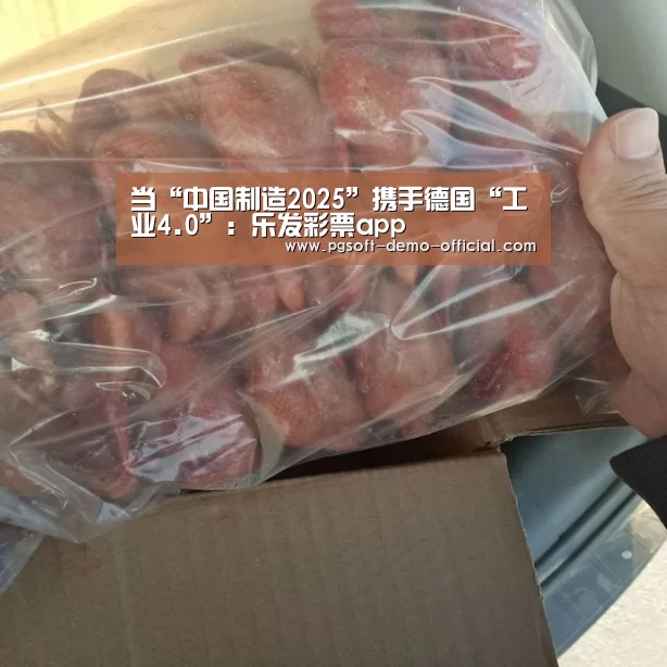 当“中国制造2025”携手德国“工业4.0”:乐发彩票app(图3) 乐发彩票走势分析
